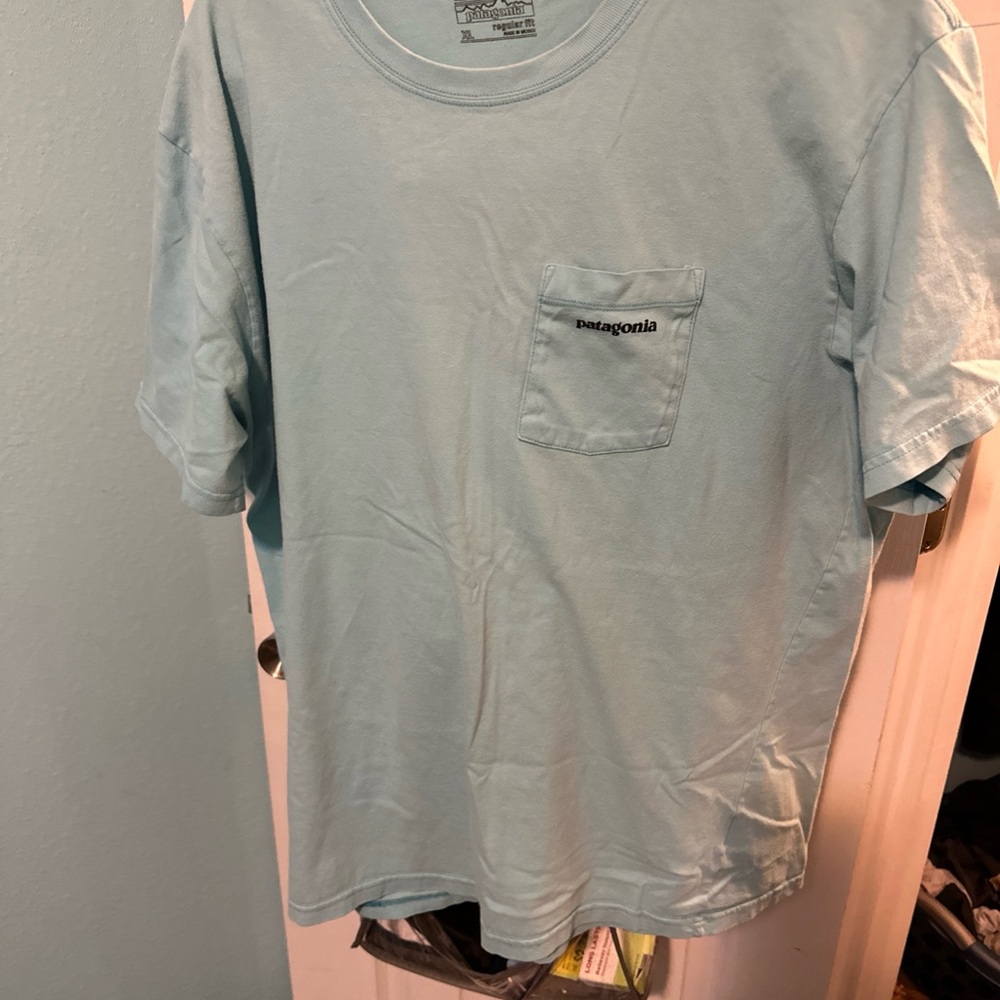 Patagonia Men's Sky Blue Short Sleeve Tee